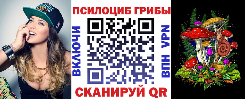 дарк нет официальный сайт  Новоуральск  Галлюциногенные грибы прущие грибы 